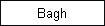 Bagh